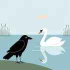 El cuervo y el cisne
